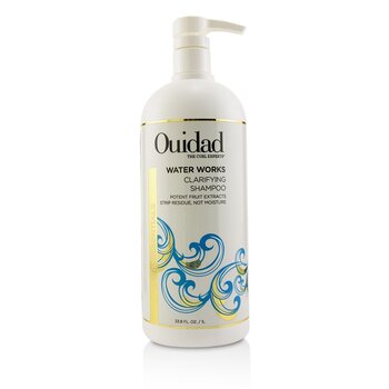 Water Works Clarifying Shampoo (Curl Essentials)